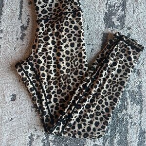 Colorful Koala Leopard Print Leggings